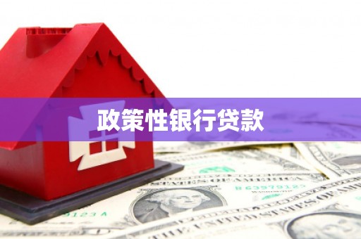 红岗政策性银行贷款