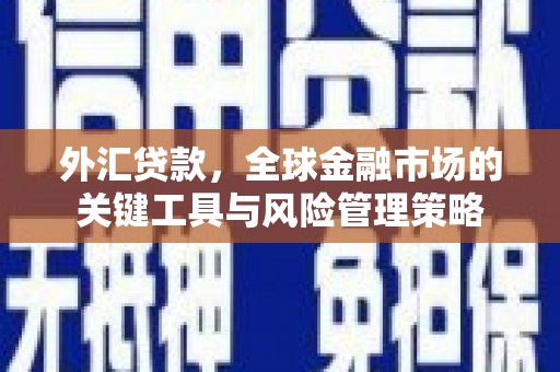 红岗外汇贷款，全球金融市场的关键工具与风险管理策略