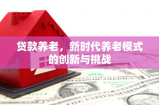 红岗贷款养老，新时代养老模式的创新与挑战