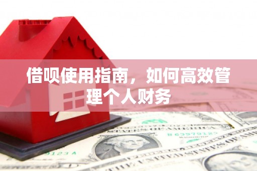 红岗借呗使用指南，如何高效管理个人财务