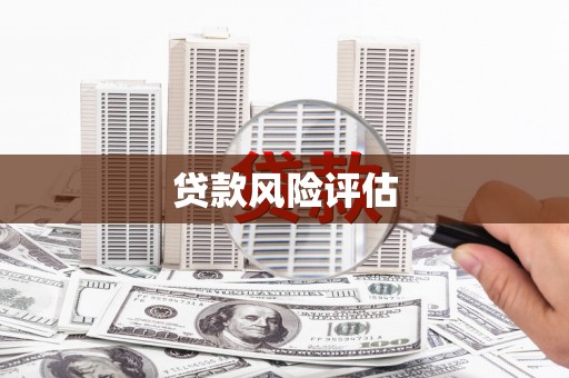 红岗贷款风险评估