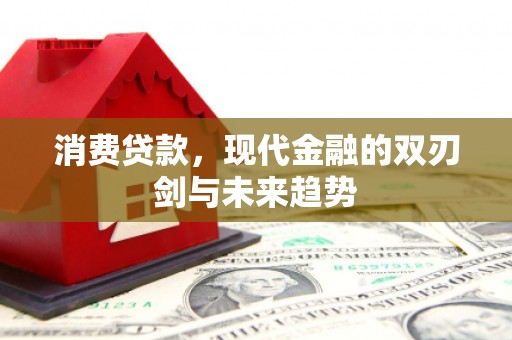 红岗消费贷款，现代金融的双刃剑与未来趋势