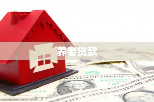 红岗养老贷款