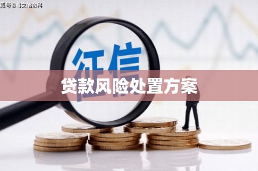 红岗贷款风险处置方案