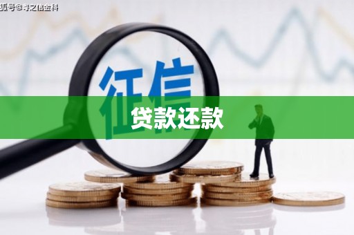 红岗贷款还款
