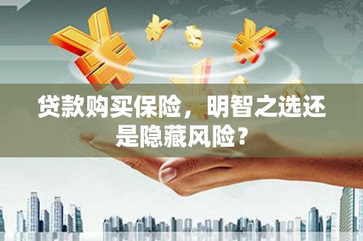 红岗贷款购买保险，明智之选还是隐藏风险？