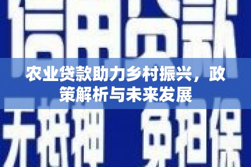 红岗农业贷款助力乡村振兴，政策解析与未来发展