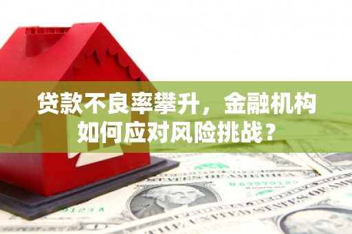 红岗贷款不良率攀升，金融机构如何应对风险挑战？