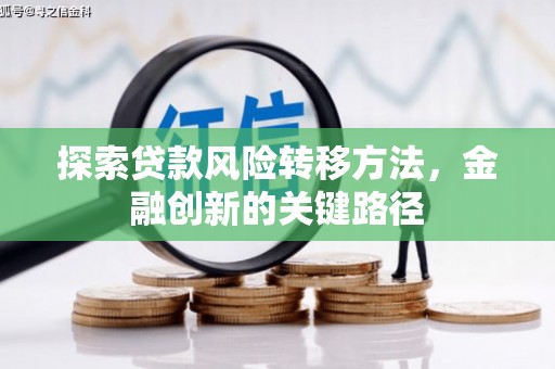 红岗探索贷款风险转移方法，金融创新的关键路径