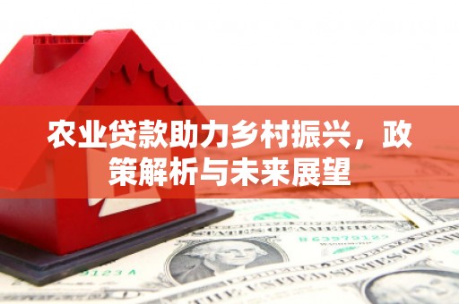 红岗农业贷款助力乡村振兴，政策解析与未来展望