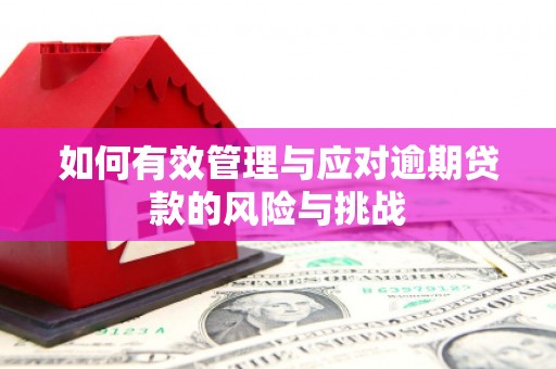 红岗如何有效管理与应对逾期贷款的风险与挑战