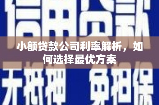 红岗小额贷款公司利率解析，如何选择最优方案