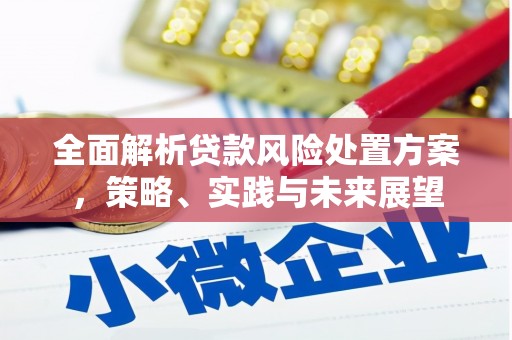 红岗全面解析贷款风险处置方案，策略、实践与未来展望