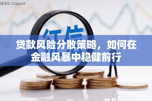红岗贷款风险分散策略，如何在金融风暴中稳健前行