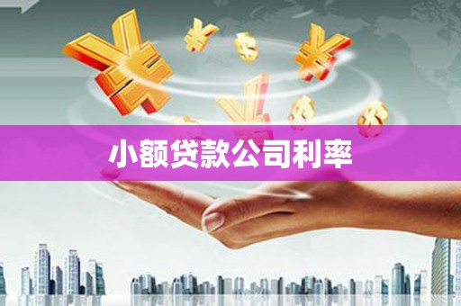 红岗小额贷款公司利率