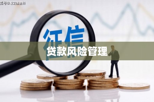 红岗贷款风险管理