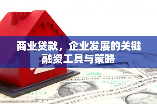 红岗商业贷款，企业发展的关键融资工具与策略