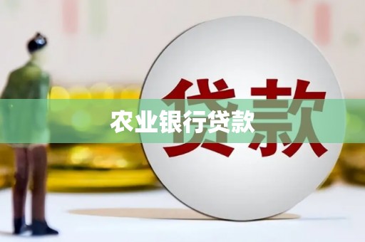 红岗农业银行贷款