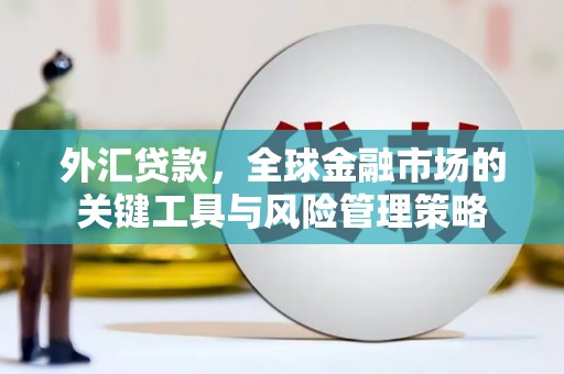 红岗外汇贷款，全球金融市场的关键工具与风险管理策略