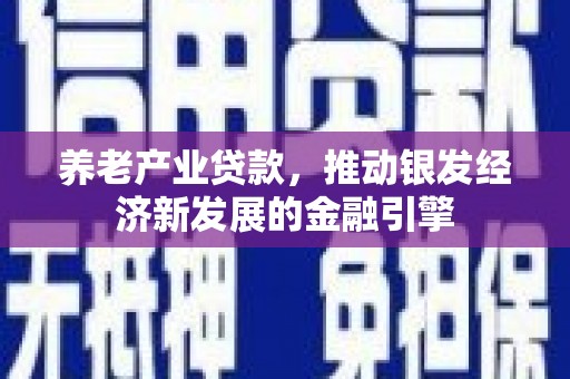 红岗养老产业贷款，推动银发经济新发展的金融引擎