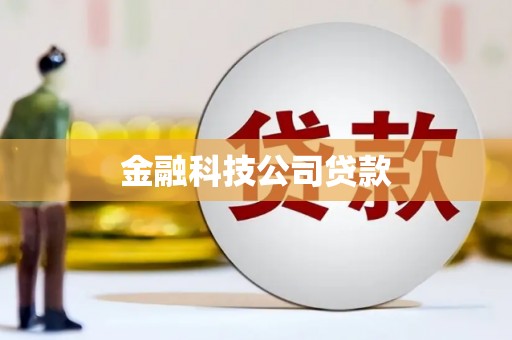 红岗金融科技公司贷款