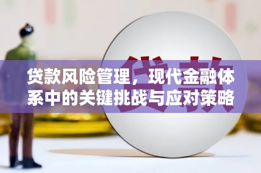 红岗贷款风险管理，现代金融体系中的关键挑战与应对策略