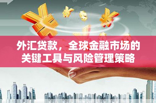 红岗外汇贷款，全球金融市场的关键工具与风险管理策略