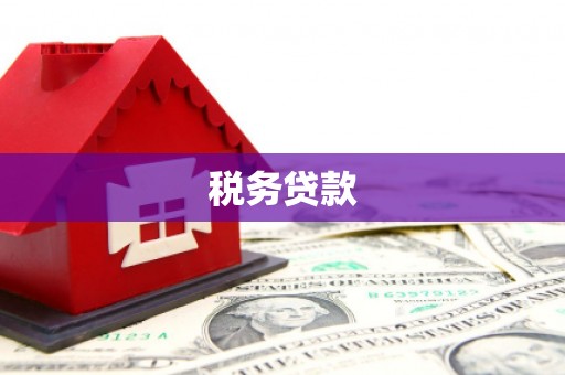 红岗税务贷款