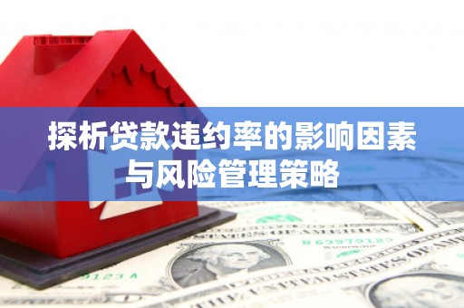 红岗探析贷款违约率的影响因素与风险管理策略