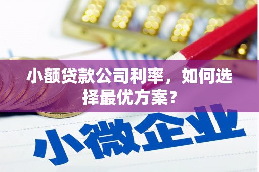 红岗小额贷款公司利率，如何选择最优方案？