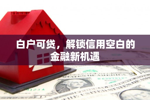 红岗白户可贷，解锁信用空白的金融新机遇
