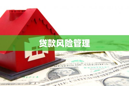 红岗贷款风险管理
