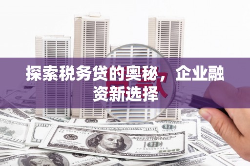 红岗探索税务贷的奥秘，企业融资新选择