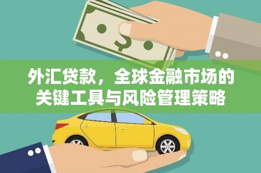 红岗外汇贷款，全球金融市场的关键工具与风险管理策略