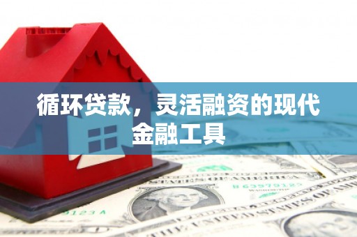 红岗循环贷款，灵活融资的现代金融工具