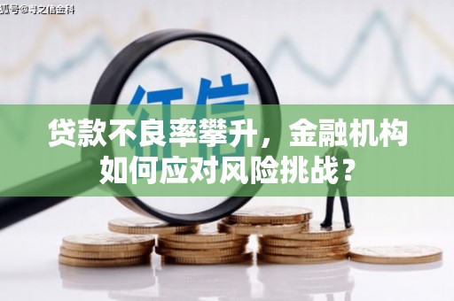 红岗贷款不良率攀升，金融机构如何应对风险挑战？