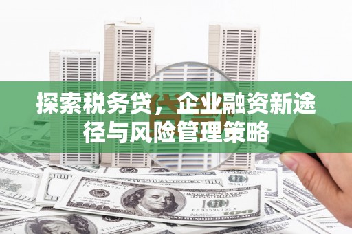 红岗探索税务贷，企业融资新途径与风险管理策略