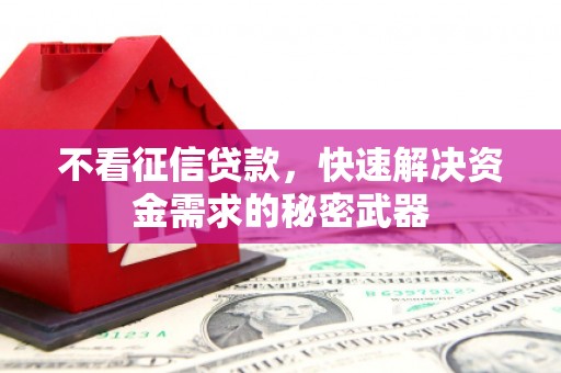 红岗不看征信贷款，快速解决资金需求的秘密武器