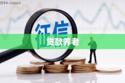 红岗贷款养老