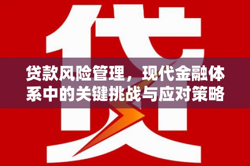 红岗贷款风险管理，现代金融体系中的关键挑战与应对策略
