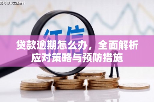红岗贷款逾期怎么办，全面解析应对策略与预防措施