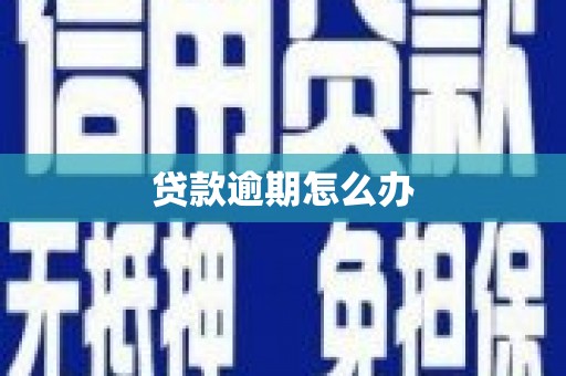 红岗贷款逾期怎么办