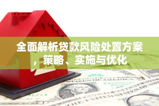 红岗全面解析贷款风险处置方案，策略、实施与优化