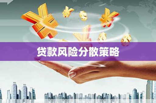 红岗贷款风险分散策略