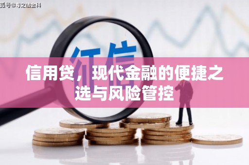 红岗信用贷，现代金融的便捷之选与风险管控