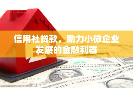 红岗信用社贷款，助力小微企业发展的金融利器