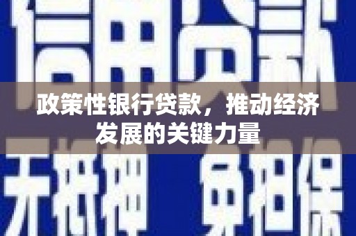 红岗政策性银行贷款，推动经济发展的关键力量