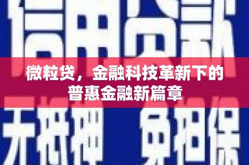 红岗微粒贷，金融科技革新下的普惠金融新篇章