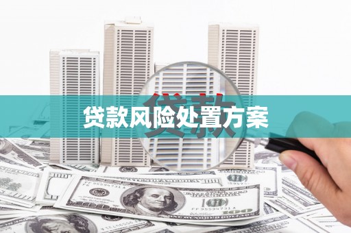 红岗贷款风险处置方案