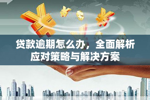 红岗贷款逾期怎么办，全面解析应对策略与解决方案